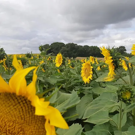 Holiday home Xin Dao Semezies-Cachan