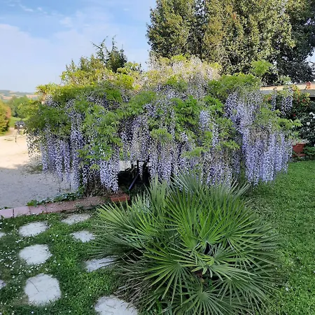 Xin Dao * Semezies-Cachan