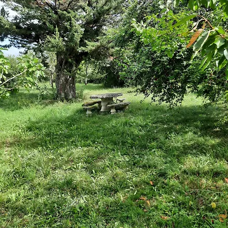 Xin Dao Holiday home Semezies-Cachan