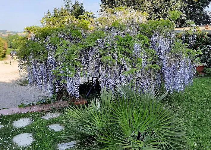 Xin Dao * Semezies-Cachan